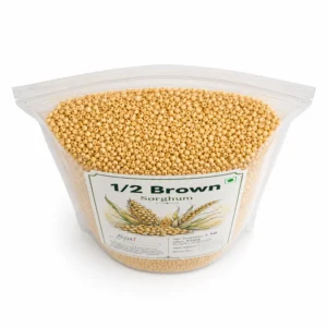 Sorghum